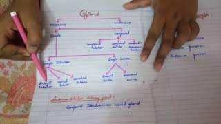 Shortest syllabus to PASS HISTOLOGY paper written pages by me MUST WATCH [upl. by Rayburn]