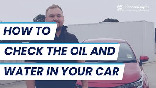 How to check the oil and water in your car [upl. by Viki378]