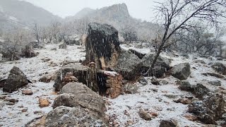 Building Primitive Shelter from start to finish with Fireplace outsideSurvival Winter Camping [upl. by Terrill]