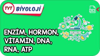 Enzim Hormon Vitamin DNA RNA ATP  Kamp2021 YazKampı [upl. by Jenei]