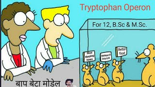 Repressor operon Enzyme represson [upl. by Natividad]