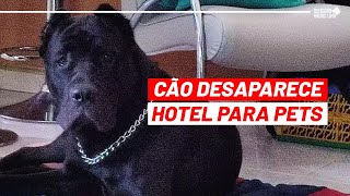 ABSURDO 🤬 CÃO DESAPARECE EM HOTEL PARA PETS 😡😡 [upl. by Asare]