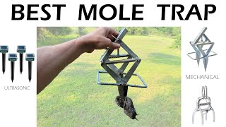 Best Mole Trap to Buy  Compare Top 3 [upl. by Nirroc]