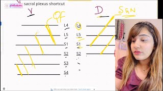 Sacral Plexus SHORTCUT  Learning made fun with Dr Hasna [upl. by Loren516]