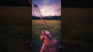 La leçon particulière violin music musician soundtrack violinist cover [upl. by Broida]