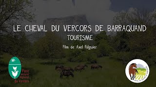 Tourisme équestre avec le Cheval du Vercors de Barraquand [upl. by Aspasia57]