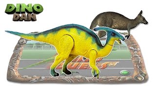 DINO DAN DINO DUELS  7  Parasaurolophus VS Kangaroo [upl. by Reemas]