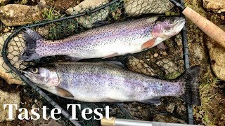 Kokanee Salmon vs Stocked Trout Catch n Cook Taste Test [upl. by Rickert]