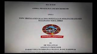 PROPAGATION OF ACTION POTENTIAL IN MYELINATED AND NON MYELINATED NERVE FIBRES [upl. by Gasser736]