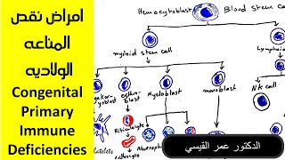 امراض نقص المناعه الولاديه  Congenital Primary Immune Deficiencies [upl. by Kallista]