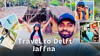 Delft Island Jaffna  Sri Lanka ඩෙල්ෆ් දුපතේ දවසක්  The remote village life in Sri Lanka [upl. by Nauqan266]