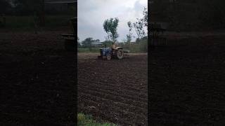 🌱soybean farming process youtubeshorts youtubetrending shortfeed viralshorts [upl. by Trebmal]