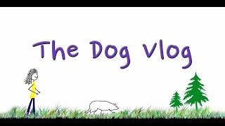 Dog Vlog Intro  Border Collies R Us [upl. by Yllek173]