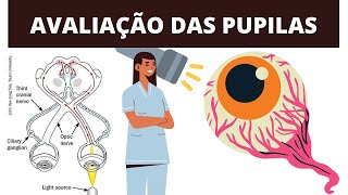 O QUE VOCÊ PRECISA SABER SOBRE AVALIAÇÃO DAS PUPILAS [upl. by Sturdivant]