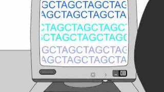 How to Sequence a Genome 11 Working Draft Sequence [upl. by Annahc8]