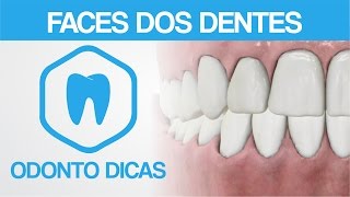 FACES DOS DENTES  ODONTO DICAS [upl. by Erle]