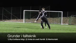 Målvaktsträning 1  Fallteknik [upl. by Ellehcer118]