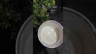 Homemade veg mayonnaise recipe enjoying ytshorts shorts [upl. by Minabe]