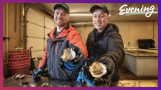 Meet the family whos been raising shellfish in Washington waters for over 100 years [upl. by Nylazor]