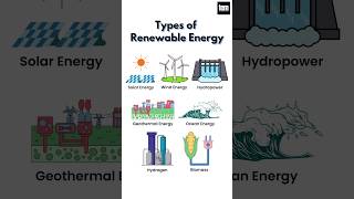 Types of Renewable Energy Renewable Energy Resources renewableenergy shorts youtubeshorts [upl. by Delp465]