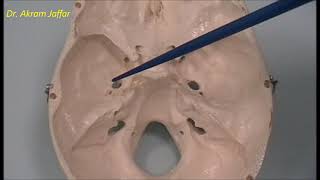 Osteology of the skull 6 cranial cavity [upl. by Kuebbing]