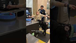 TSA Travel Airport Airplane Disabled Viral ServiceDog Dog Disability Activism Prosthesis [upl. by Spindell91]