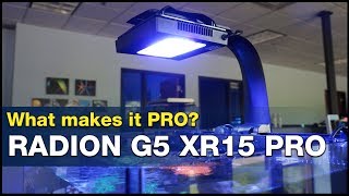 This is what it means to go PRO How to Master your tank lighting using Radion G5 XR15 Pros [upl. by Htennaj]