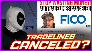 Fico Cancels Authorized User Tradelines Credit Plug Video Review [upl. by Niwrud]