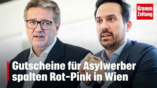 Gutscheine für Asylwerber spalten RotPink in Wien  kronetv NEWS [upl. by Rahel]