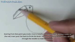 How to Draw a Toucan In 6 EASY Steps  GREAT for Kids amp Beginners [upl. by Tice841]