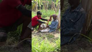 KING COBRA SNAKE PRANK ON GRANDPA Part 11  Fun Box Brand Shorts [upl. by Buhler]