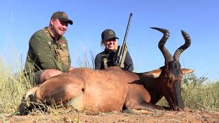 Hunting the Red Hartebeest in Namibia [upl. by Ronoc]