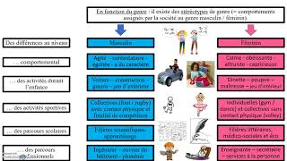 Questce que la socialisation différentielle  SOCIOLOGIE [upl. by Aneeled]