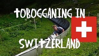 Tobogganing in Switzerland [upl. by Elac]