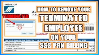 HOW TO REMOVE YOUR TERMINATED EMPLOYEE ON YOUR SSS PRN BILLING EMPLOYER [upl. by Rehpotsrhc]