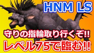 【FF11】レベル75でHNMに臨む！！守りの指輪取り行くぞ！ [upl. by Bannasch]