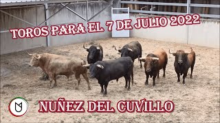 Toros San Fermín 7 julio 2022  Nuñez del Cuvillo [upl. by Ludmilla]