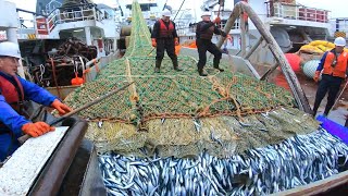 Net Fishing On The Big Boat Catching and Producing Hundreds of Tons Fish Frozen At Sea [upl. by Lepley]