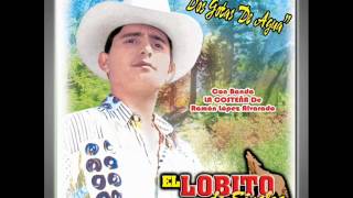 El Lobito De Sinaloa  Te Enseñe A Besar [upl. by Comethuauc]