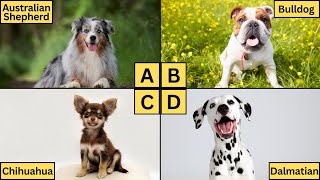 ABC Dogs  Learn Alphabet from A to Z  Dog Breeds for Kids [upl. by Eamanna]