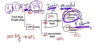 USMLE ACE Video 144 Distribution of Intracellular fluid ICF and Extracellular Fluid ECF [upl. by Kain]