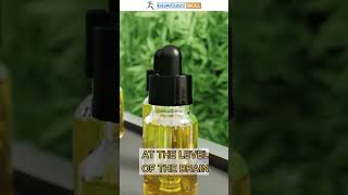 Reveal the Power of CBD Oil in Rheumatoid Arthritis [upl. by Ahsiekam]