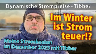 Ist Strom im Winter wirklich teurer Wie hoch ist mein Arbeitspreis mit Tibber im Dezember 2023 [upl. by Janus855]