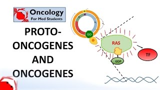 7 Protooncogenes and Oncogenes [upl. by Notniv]