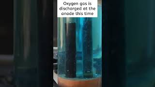 Edexcel Core Practical 4  Copper sulfate electrolysis  GCSE Chemistry Revision chemistry [upl. by Eelyab]