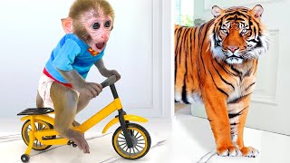 Monkey Baby Bon Bon Ride a Bike and eats watermelon with ducklings in the garden [upl. by Keg]