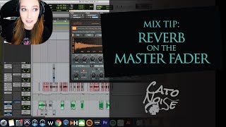 Mix Tip Reverb on Master Fader [upl. by Rma287]