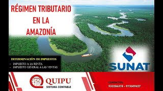 REGIMEN DE LA AMAZONIA DECLARACION DE PDT caso practico [upl. by Nnylarej]