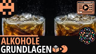 Alkohole Grundlagen│Chemie Lernvideo Learning Level Up [upl. by Ogawa]