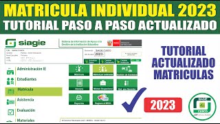 Siagie  Matricula INDIVIDUAL 2023  Tutorial COMO MATRICULAR ALUMNOS NUEVOS Y ANTIGUOS [upl. by Tenn]